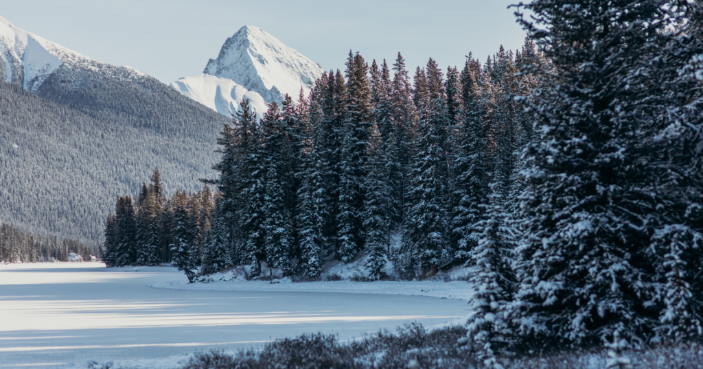 La saison hivernale dans le Parc National de Jasper en Alberta